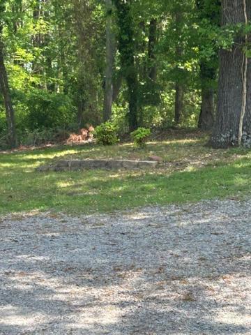 Serene Retreat! 420 Friendly In Designated Area, 3 Minutes To Downtown Richmond Eksteriør bilde